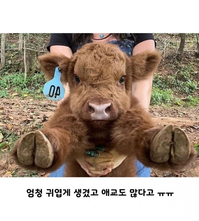 태어난지 얼마 안된 아기 소