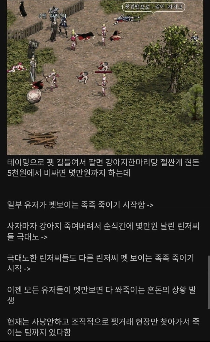 진짜 개고기 게임이 되어버린 리니지 클래식 근황