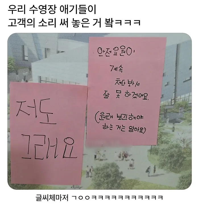 수영장 아이들 고객의 소리