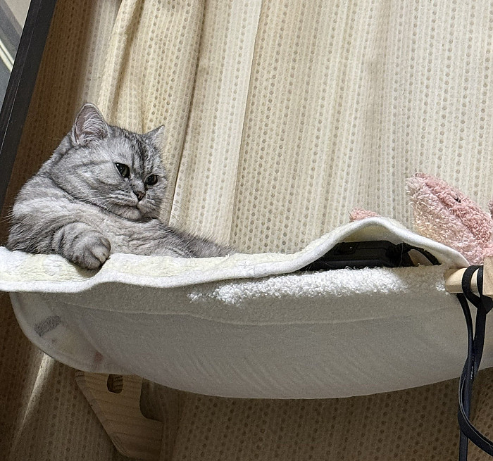 입양한지 2년...