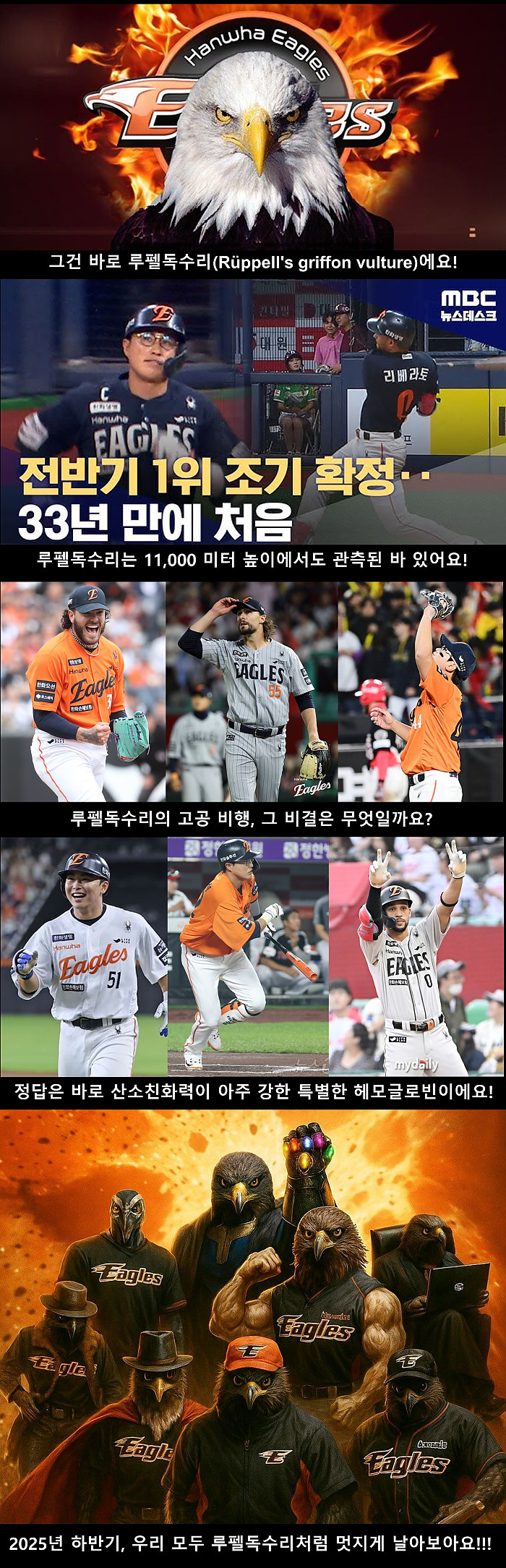 가장 높이 나는 새는?