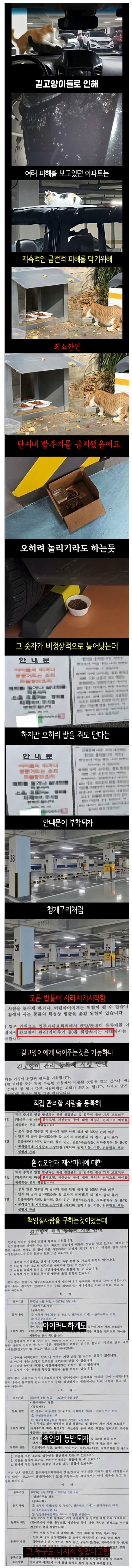 맘들이 사라진 아파트