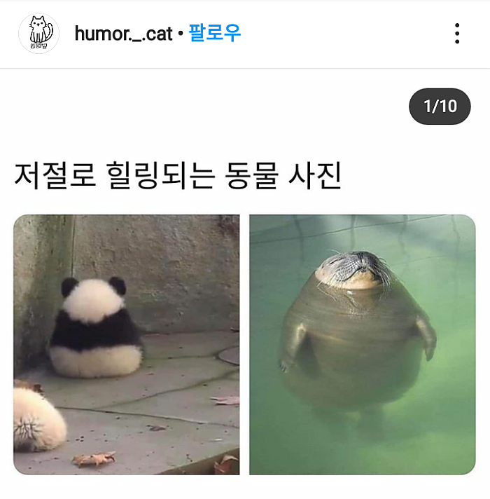 귀엽