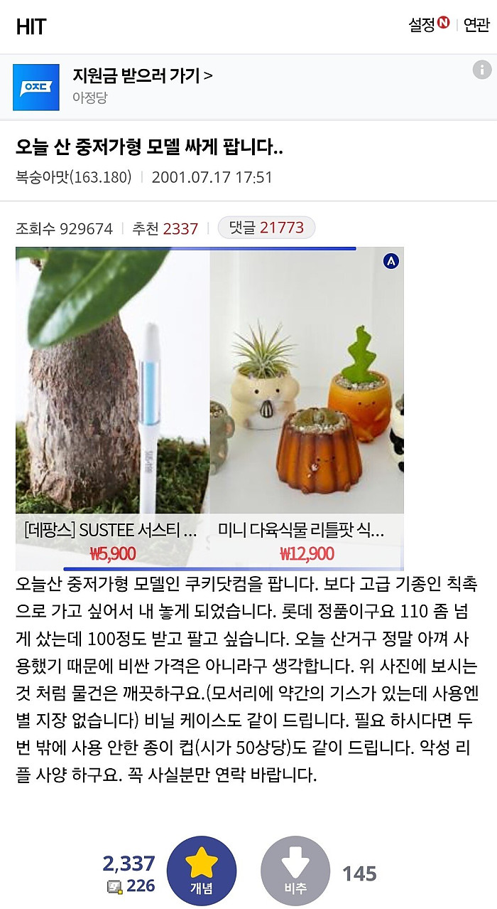 디시 개죽이만 죽은거 아니더라