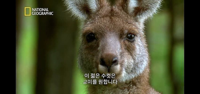 별거 아닌데 너무나 아련함