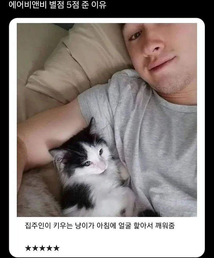 에어비앤비 별점 5점인 이유