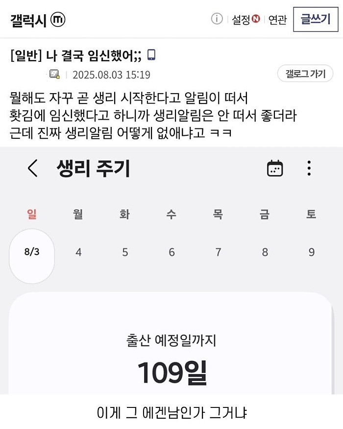 나 결국 임신했어