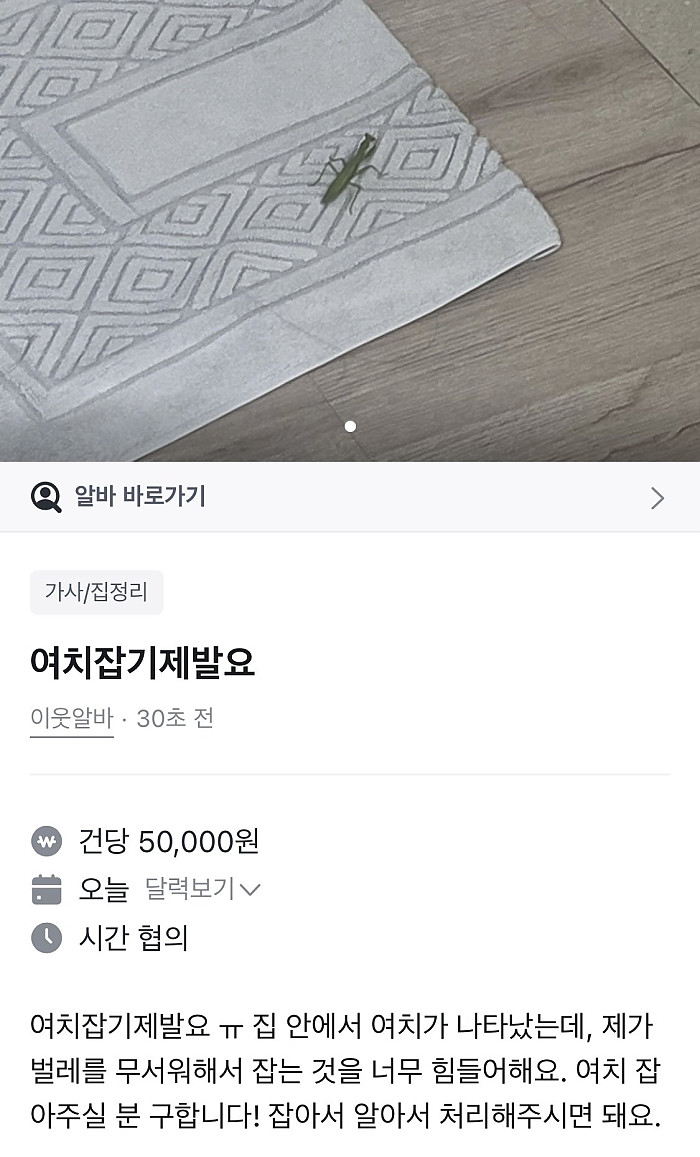 여치 잡아주시면 5만원 드립니다