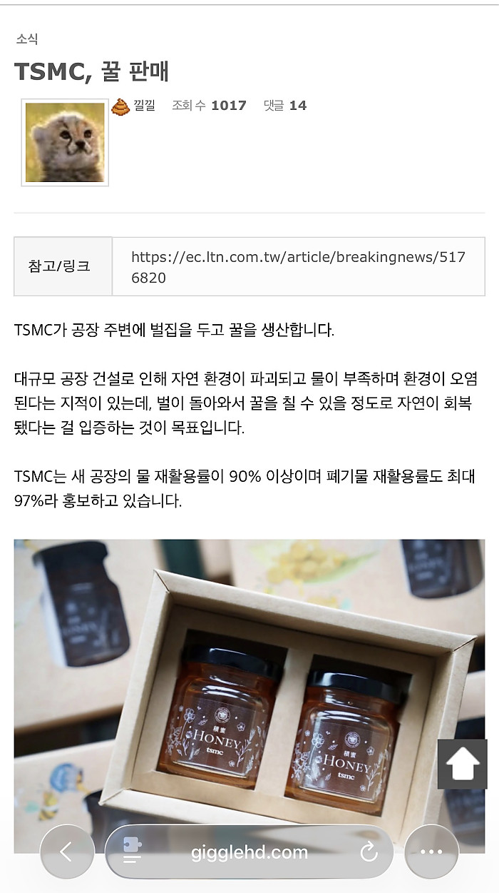 의외로 꿀파는 중인 TSMC