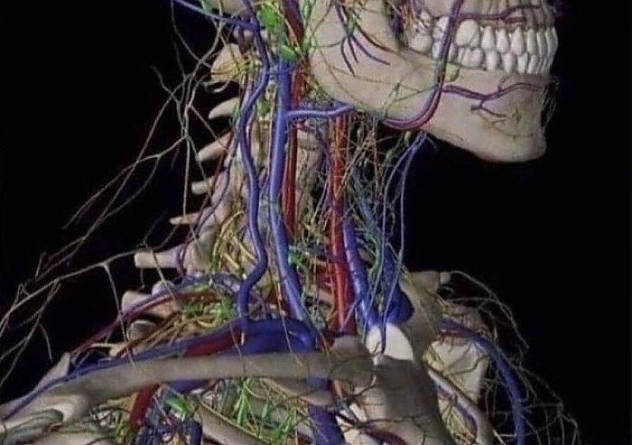 아마추어에게 당신의 선정리를 맡기지 마세요