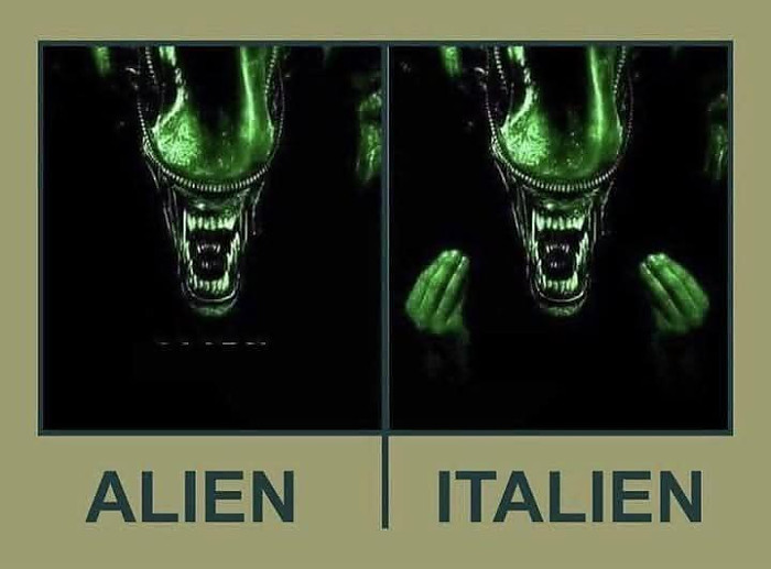 일반적인 에일리언과 이태리 에일리언