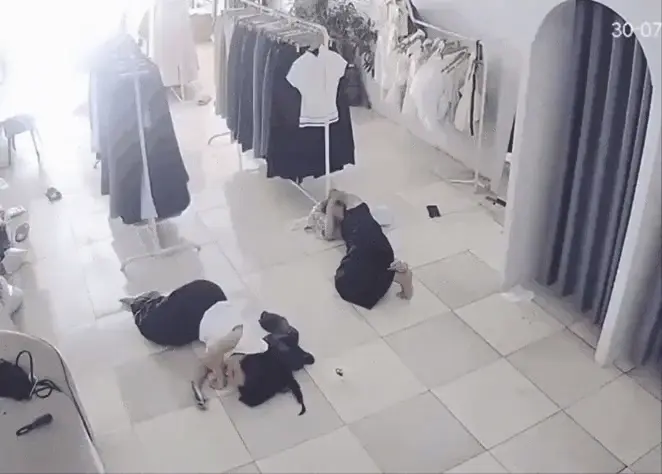 전설의 햄지보스터